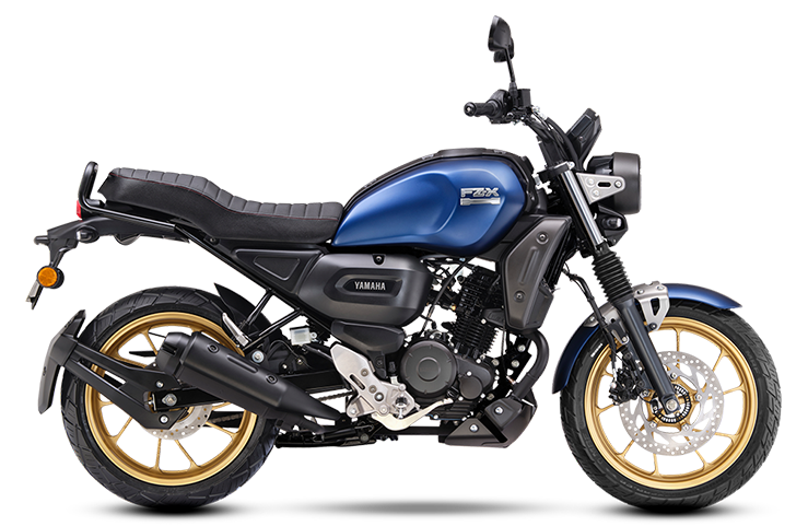 Azul-Gris Oscuro-Amarillo