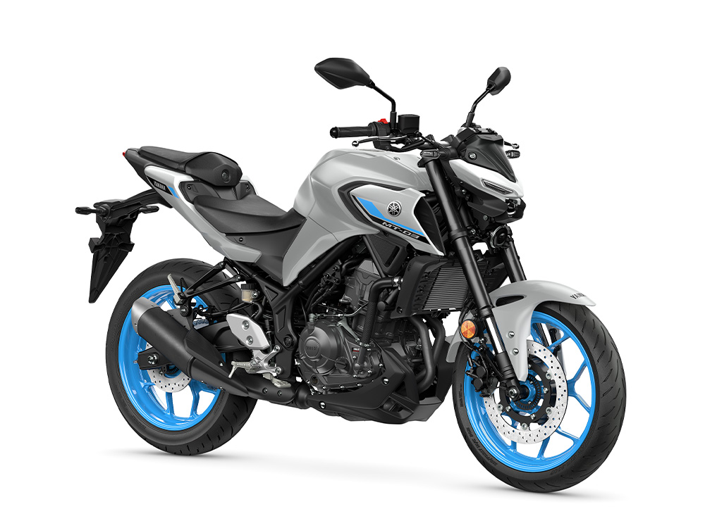 Cian-Gris Oscuro-Gris Plata