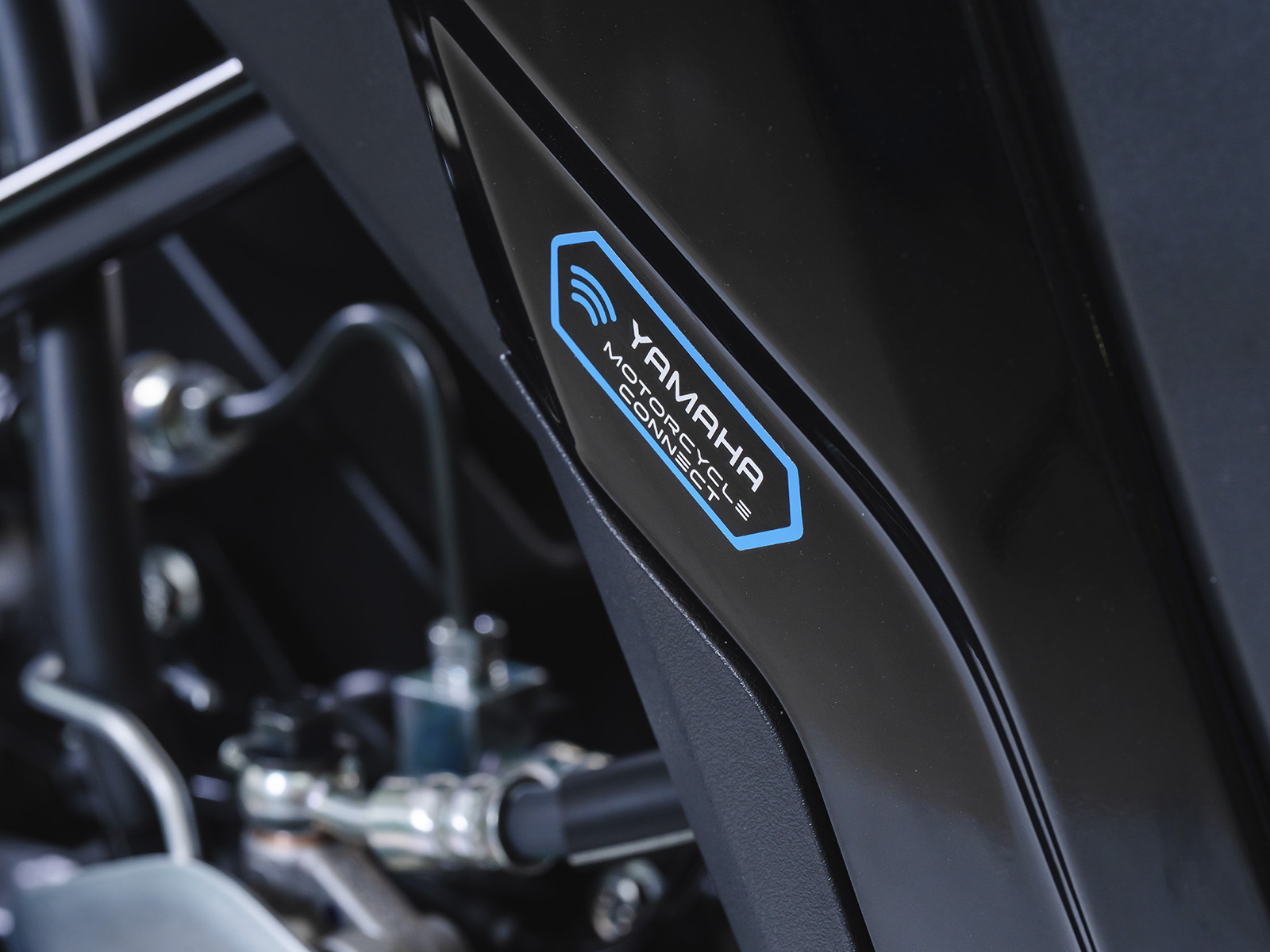 2623385cee9c4aeb228053ca164d92a9_full_size